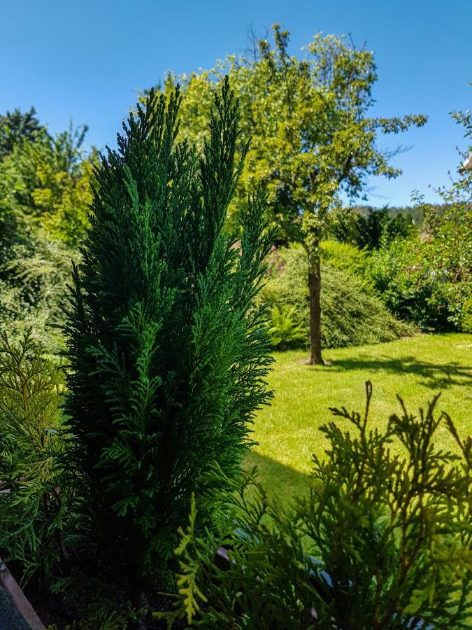Ferienwohnung Naturnah Goslar Exteriér fotografie